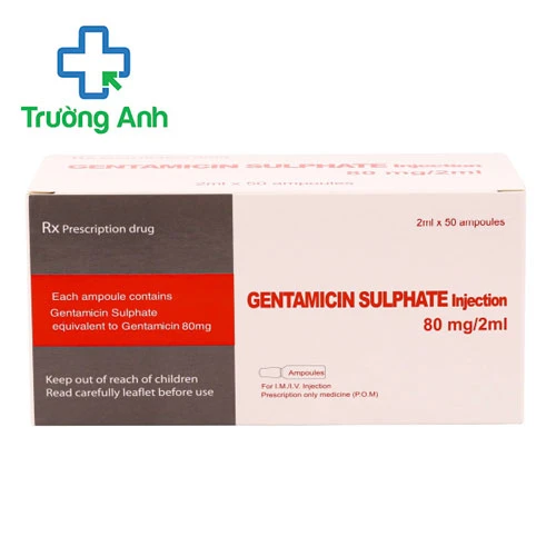 Gentamicin sulphate injection - Thuốc điều trị nhiễm khuẩn hiệu quả