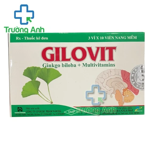 Gilovit - Giúp điều trị thiểu năng tuần hoàn não hiệu quả