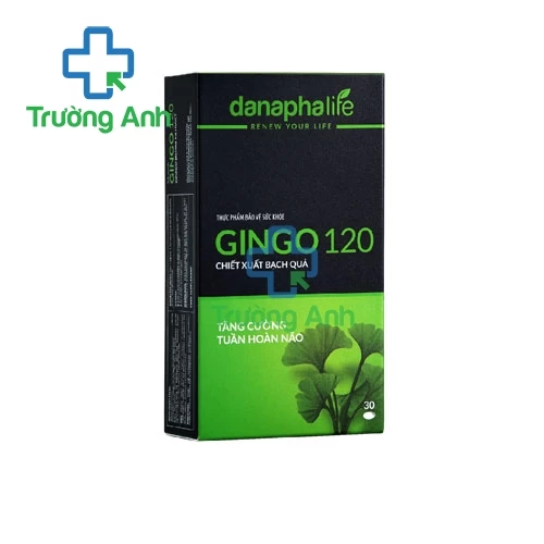 Gingo 120 Danapha - Giúp tăng cường tuần hoàn não
