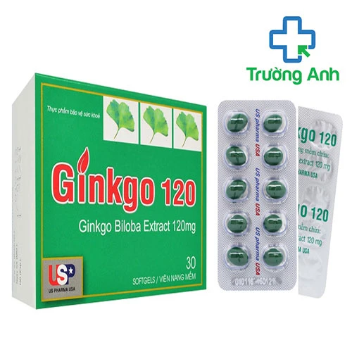 GINKGO 120 USP - Giúp bổ huyết, hoạt huyết dưỡng não