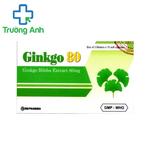 Ginkgo 80 - Giúp điều trị thiểu năng tuần hoàn não hiệu quả