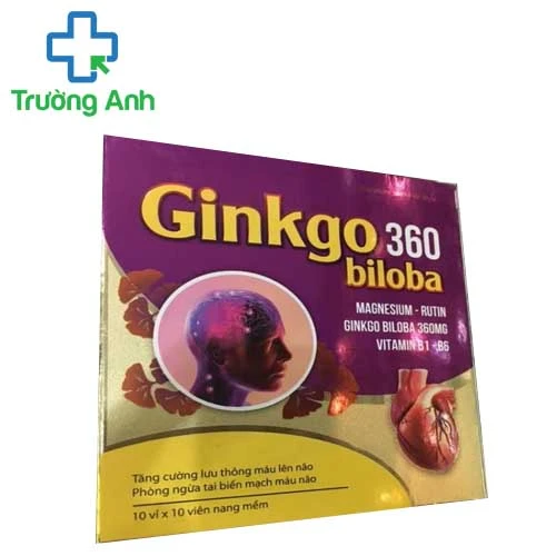 Ginkgo biloba 360mg Magnesium - Giúp tăng cường lưu thông máu lên não hiệu quả