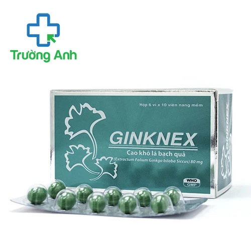 Ginknex 80mg Medisun - Thuốc điều trị hỗ trợ thiểu năng tuần hoàn não