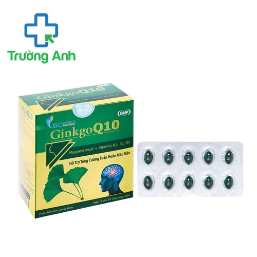 Ginkgo Q10 Abipha - Hỗ trợ tăng cường tuần hoàn máu não
