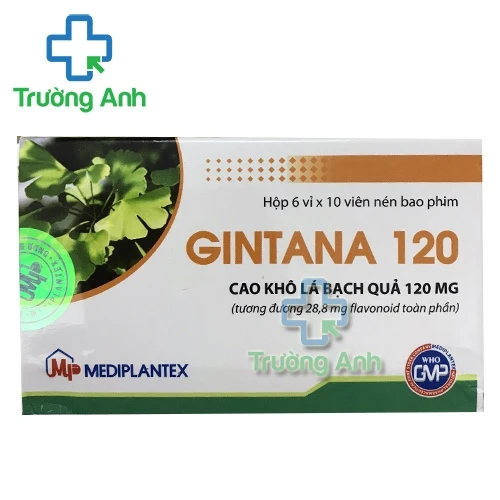 Gintana 120mg - Giúp dự phòng và điều trị tai biến mạch máu não hiệu quả