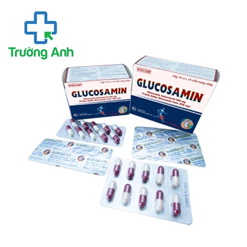 Glucosamin 250mg Khapharco - Điều trị bệnh xương khớp hiệu quả