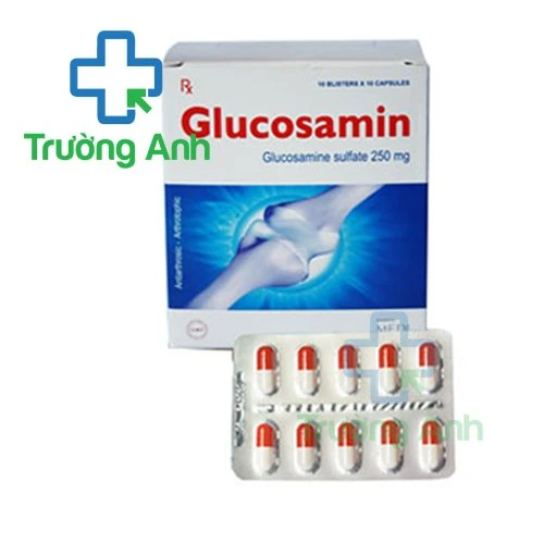 Glucosamin 250mg Quapharco - Thuốc điều trị viêm khớp gối hiệu quả