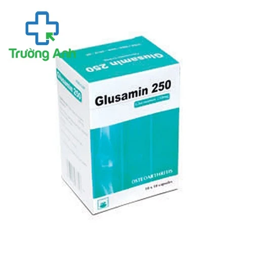 Glusamin 250mg Pymepharco - Giúp giảm triệu chứng của thoái hóa khớp gối hiệu quả