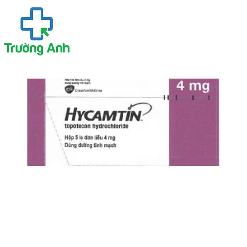 Hycamtin 4mg - Thuốc điều trị ung thư biểu mô buồng trứng di căn, ung thư phổi tế bào nhỏ của Italy