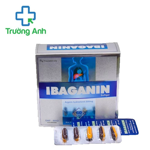 Ibaganin (viên) - Hỗ trợ điều trị viêm gan hiệu quả 