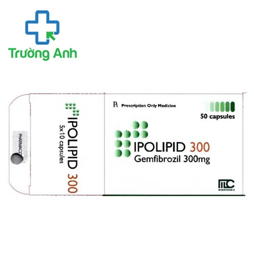 Ipolipid 300 Medochemie - Thuốc điều trị tăng lipid huyết hiệu quả