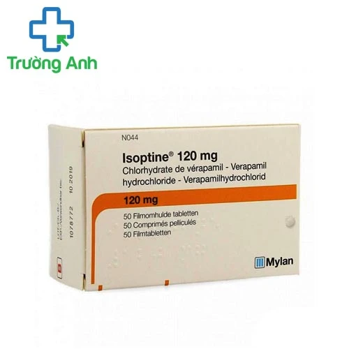Isoptine 120mg - Thuốc điều trị cao huyết áp hiệu quả của Đức