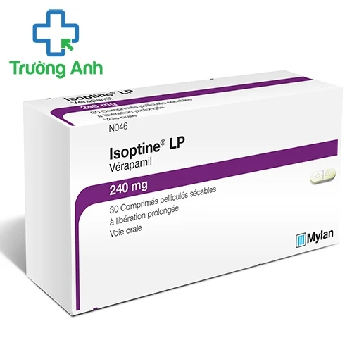 Isoptine LP 240mg Mylan - Thuốc điều trị đau thắt ngực và cao huyết áp hiệu quả