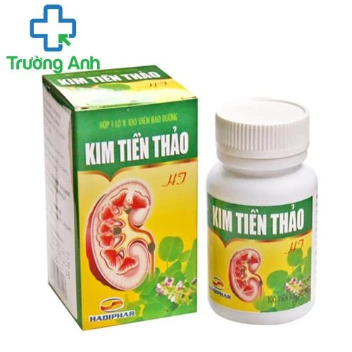 Kim tiền thảo Hoa Việt - Hỗ trợ điều trị sỏi thận, sỏi tiết niệu hiệu quả