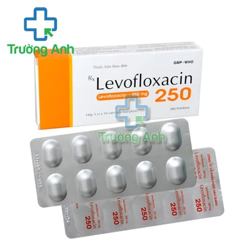 Levofloxacin 250mg DHG - Thuốc điều trị nhiễm trùng hiệu quả