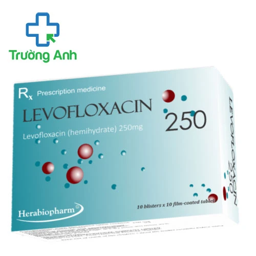 Levofloxacin 250mg Herabiopharm - Thuốc điều trị nhiễm khuẩn