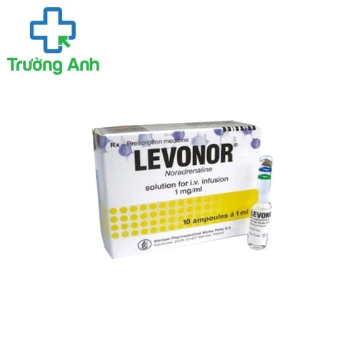 Levonor 1ml - Thuốc giảm huyết áp động mạnh hiệu quả
