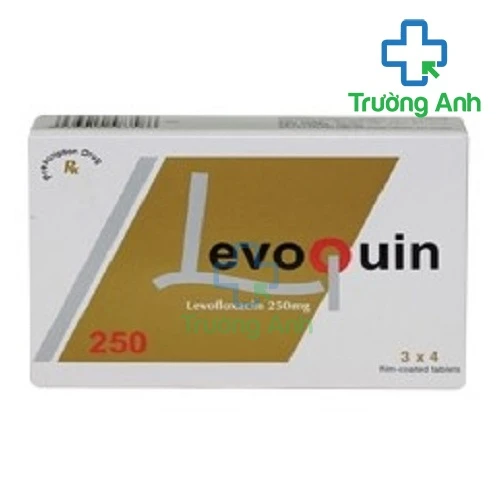Levoquin 250  Pymepharco - Thuốc điều trị nhiễm khuẩn hiệu quả