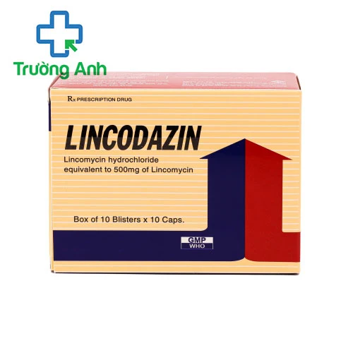 Lincodazin - Thuốc chống nhiễm khuẩn của Vidipha