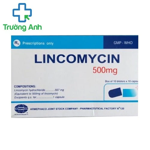 Lincomycin 500mg Armephaco - Thuốc điều trị nhiễm khuẩn nặng hiệu quả