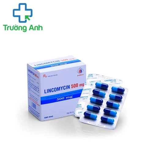 Lincomycin 500mg DMC - Thuốc điều trị nhiễm khuẩn hiệu quả Ấn Độ