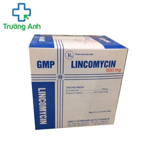 Lincomycin 500mg Nghệ An - Thuốc điều trị nhiễm trùng hiệu quả