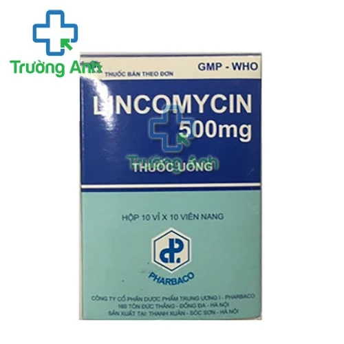 Lincomycin 500mg TW1 (Pharbaco) - Thuốc kháng sinh điều trị nhiễm khuẩn hiệu quả