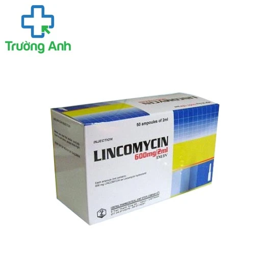 Lincomycin 600mg/2ml Dopharma - Thuốc điều trị nhiễm khuẩn hiệu quả