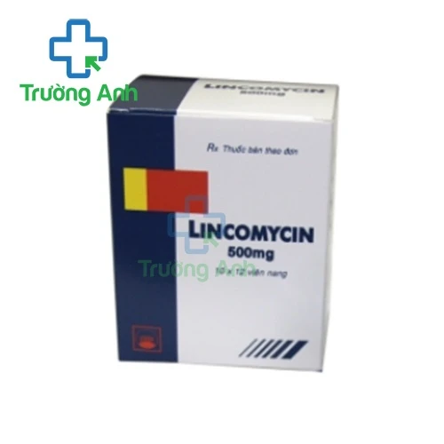 Lincomycin 500mg Pymepharco - Thuốc điều trị nhiễm khuẩn hiệu quả