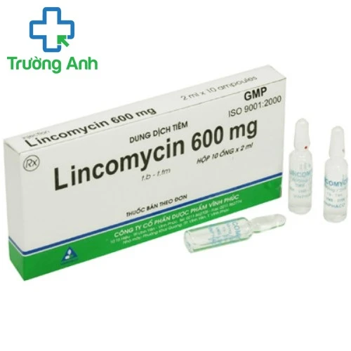 Lincomycin Vinphaco 600mg/2ml - Thuốc điều trị nhiễm khuẩn nặng hiệu quả