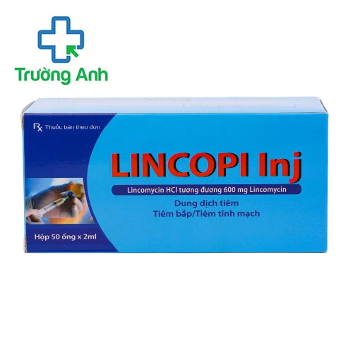 LINCOPI - Thuốc điều trị bệnh nhiễm khuẩn nặng hiệu quả