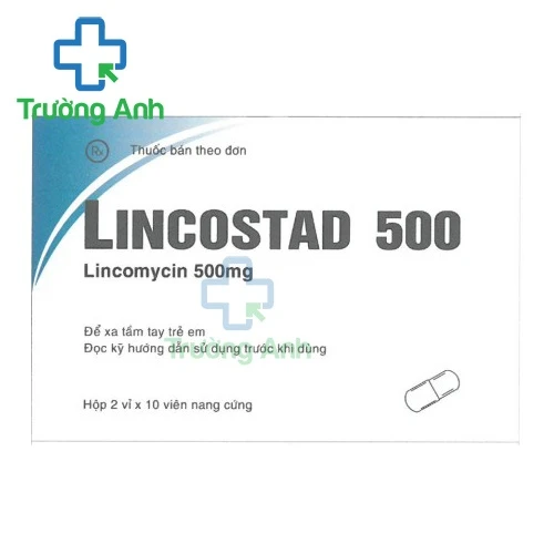Lincostad 500 Pymepharco - Thuốc điều trị nhiễm khuẩn hiệu quả