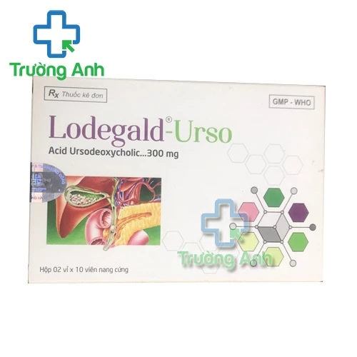 Lodegald-Urso - Hỗ trợ điều trị sỏi mật, cải thiện chức năng gan của Phương Đông