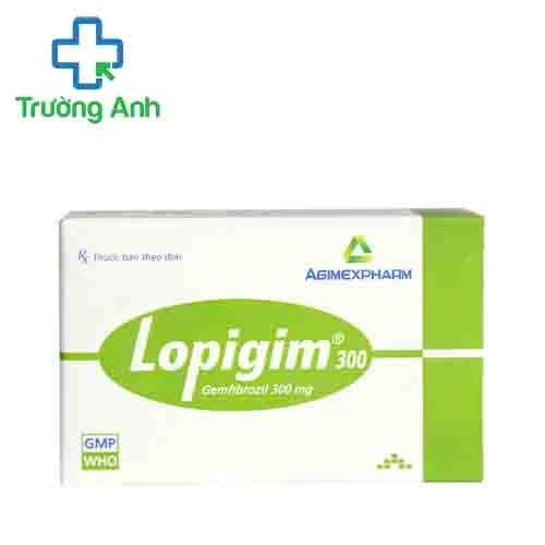 Lopigim 300 Agimexpharm - Thuốc điều trị tăng lipid máu hiệu quả