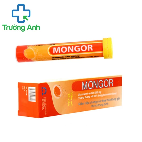 Mongor - Thuốc giảm đau chống viêm xương khớp hiệu quả