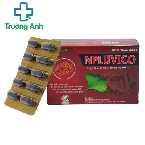 NPluvico - Hỗ trợ điều trị suy tuần hoàn Não của Nature
