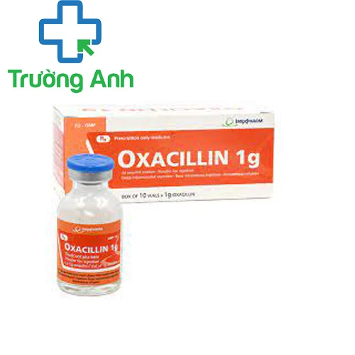 Oxacillin 1g Imexpharm - Thuốc điều trị nhiễm khuẩn hiệu quả