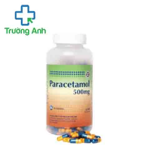 Paracetamol 500mg (viên nang) PV Pharma - Thuốc hạ sốt, giảm đau hiệu quả