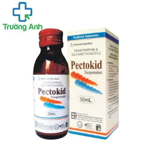 Pectokid 240mg/5ml - Thuốc điều trị nhiễm khuẩn hiệu quả