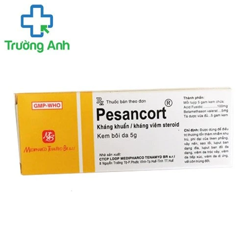 Pesancort 5g cream - Thuốc điều trị nhiễm trùng da hiệu quả