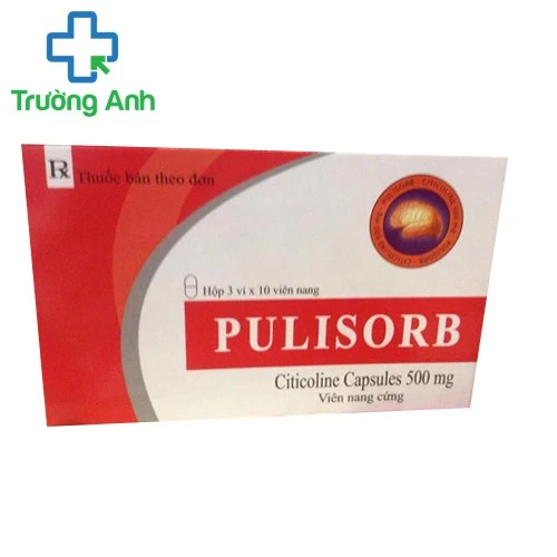 Pulisorb 500mg - Thuốc điều trị rối loạn mạch máu não