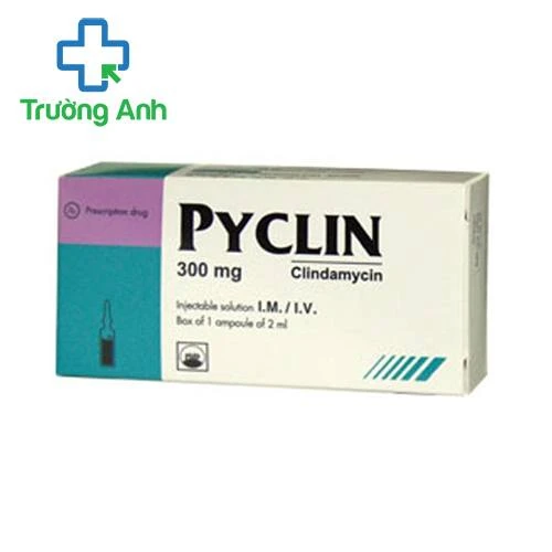 Pyclin 300 tiêm - Thuốc điều trị nhiễm khuẩn hiệu quả của Pymepharco