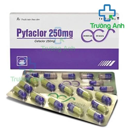 Pyfaclor 250mg - Thuốc điều trị nhiễm khuẩn hiệu quả của Pymepharco