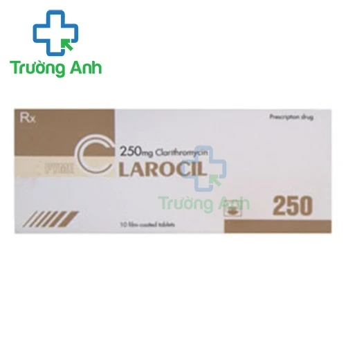 PymeClarocil 250 - Thuốc điều trị nhiễm khuẩn hiệu quả