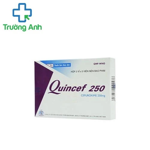 Quincef 250mg - Thuốc kháng sinh điều trị nhiễm khuẩn hiệu quả