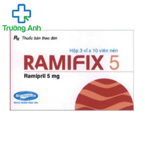 Ramifix 5 - Thuốc điều trị bệnh tăng huyết áp hiệu quả của Savipharm
