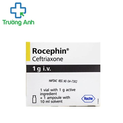 Rocephin 1g - Thuốc kháng sinh điều trị nhiễm trùng hiệu quả