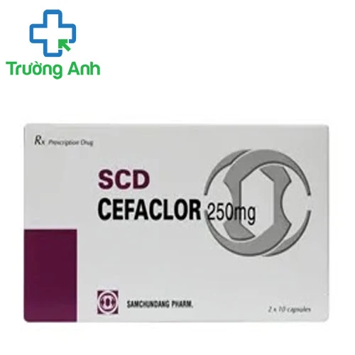 SCD Cefaclor 250mg - Thuốc điều trị nhiễm khuẩn hiệu quả của Pymepharco