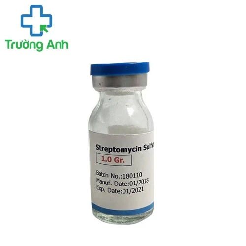 Streptomycin 1g - Thuốc kháng sinh trị điều trị nhiễm khuẩn hiệu quả
