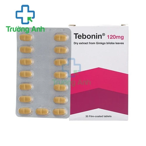 Tebonin 120mg - Hỗ trợ điều trị rối loạn tuần hoàn máu não hiệu quả của Đức